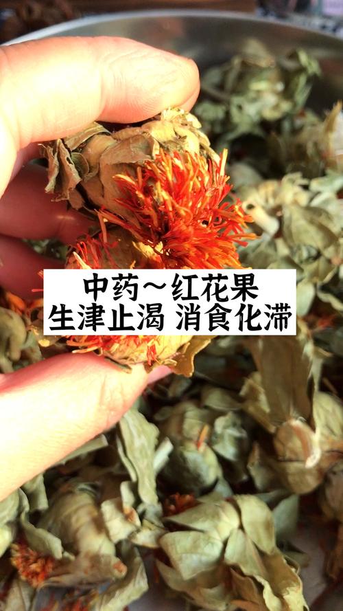 红花子的功效与作用-红花子的图片样子