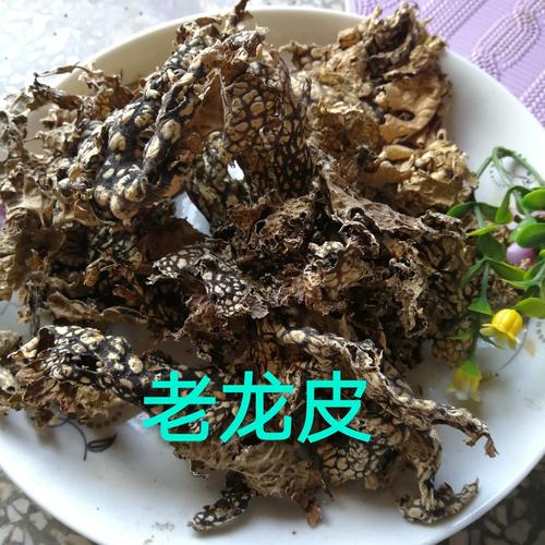 老龙皮的功效与作用-老龙皮的图片样子