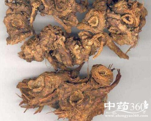 花酸苔的功效与作用-花酸苔的图片样子