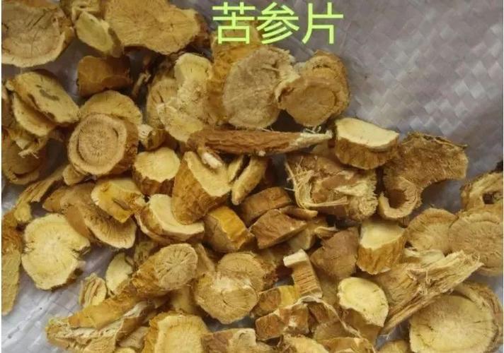 苦夭的功效与作用-苦夭的图片样子