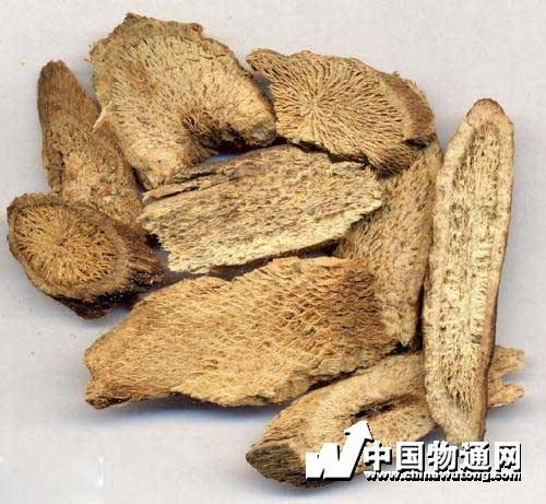 南木香的功效与作用-南木香的图片样子