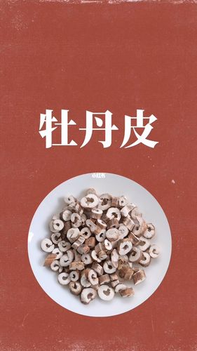 牡丹皮的功效与作用-牡丹皮的图片样子