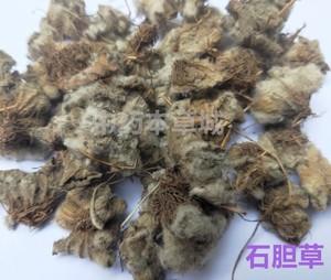 石胆草的功效与作用-石胆草的图片样子