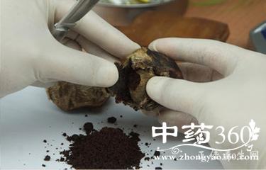 麝肉的功效与作用-麝肉的图片样子