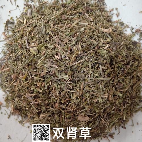 双肾草的功效与作用-双肾草的图片样子