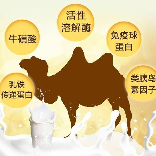 驼乳的功效与作用-驼乳的图片样子