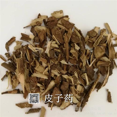 麻口皮子药的功效与作用-麻口皮子药的图片样子