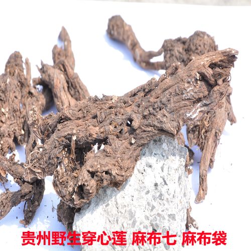 麻布七的功效与作用-麻布七的图片样子