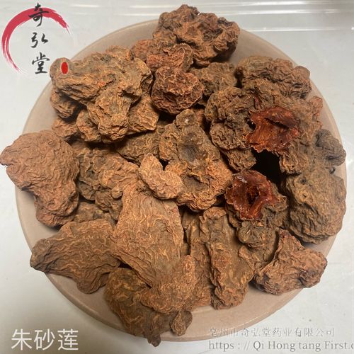 朱砂莲的功效与作用-朱砂莲的图片样子