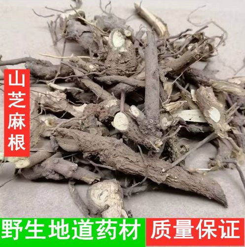 野芝麻根的功效与作用-野芝麻根的图片样子