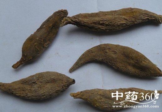 雉肝的功效与作用-雉肝的图片样子