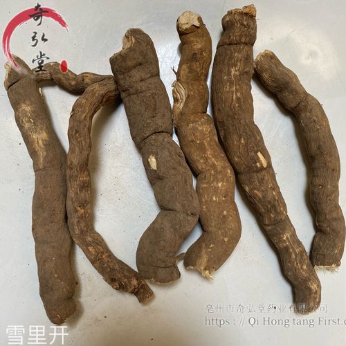 雪里开的功效与作用-雪里开的图片样子