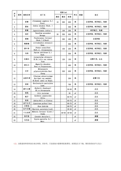 常用苗木规格表,苗木规格表的规范的功效与作用-常用苗木规格表,苗木规格表的规范的图片样子