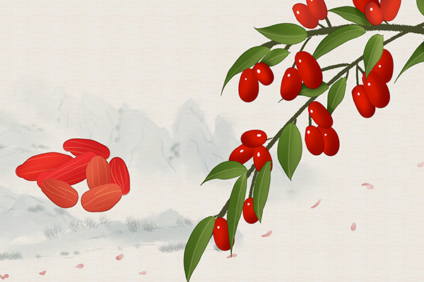 红枣和什么泡茶好
