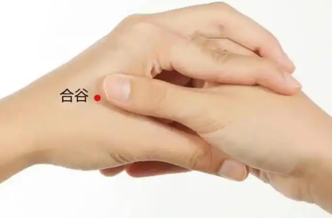 合谷穴：身体自带的 “小药箱”，实用养生全攻略|每日一穴