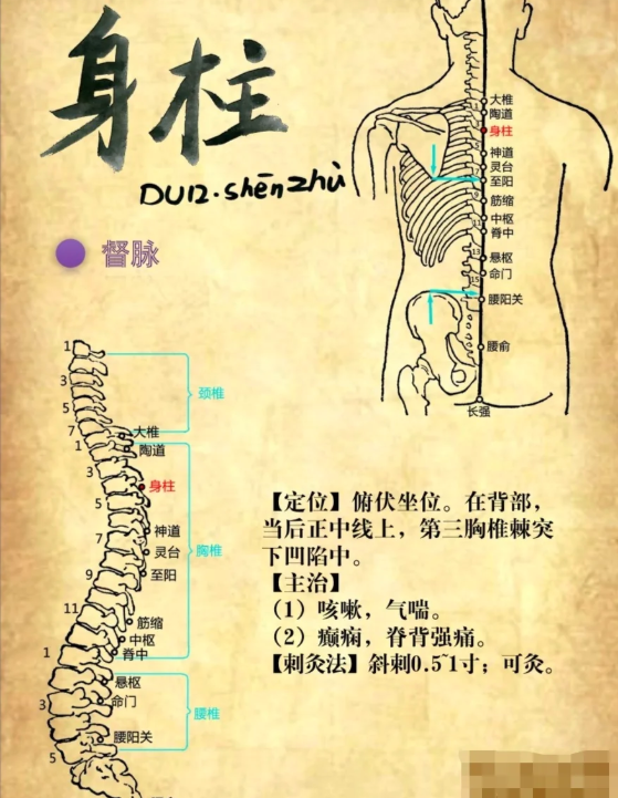 身柱穴：家长不可不知的儿童长高 “宝藏穴位”
