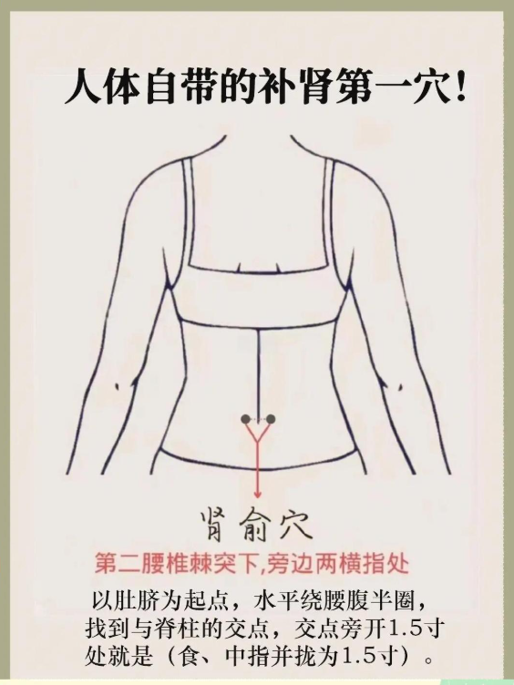 补肾强腰必看！肾俞穴的养生奥秘大公开