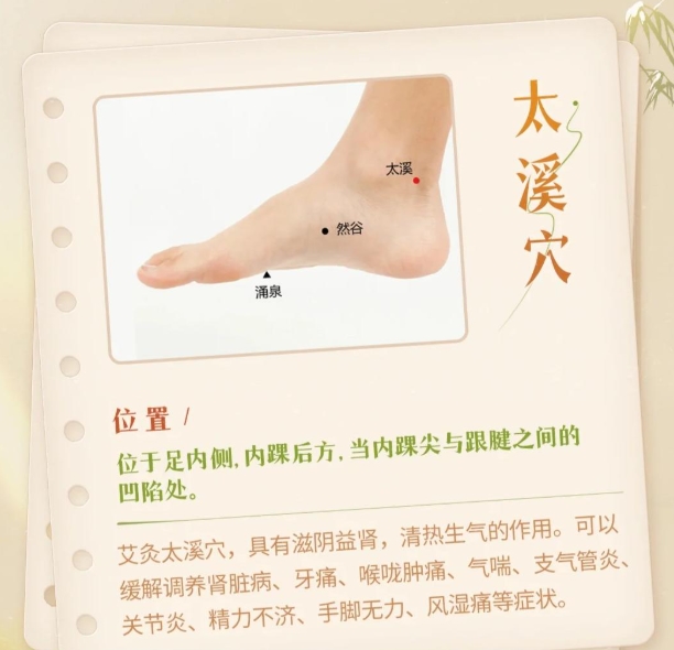 藏在脚踝的 “补肾开关”！每天按一按，补足元气超简单|每日一穴
