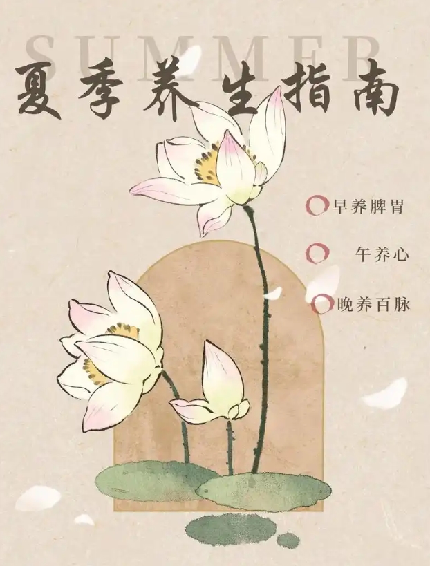 夏季养生.jpg