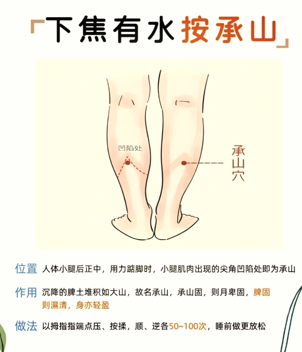承山穴21.jpg