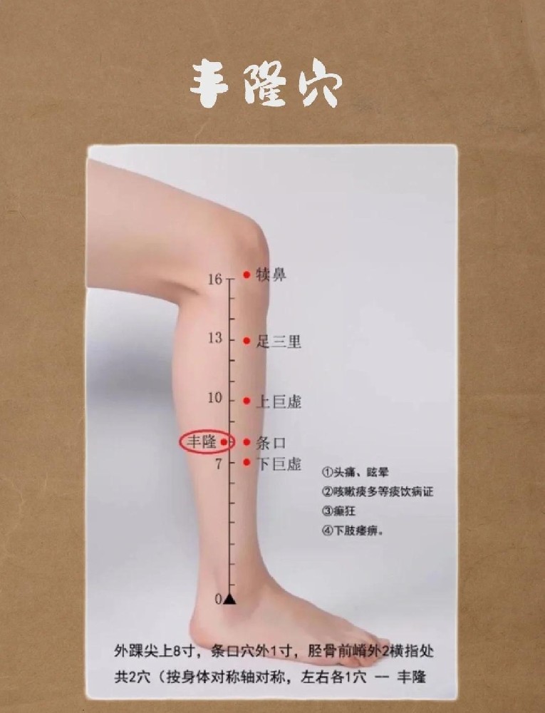 痰多、身体沉？湿气重的人必看！丰隆穴搭配这几穴，祛湿效果翻倍