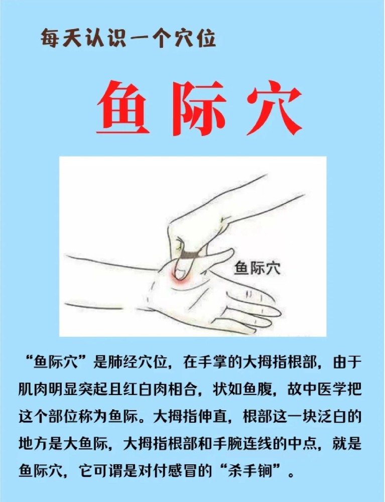 鱼际穴.jpg