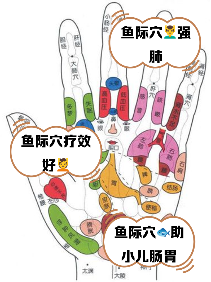 鱼际穴2.png