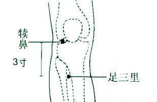 足三里穴