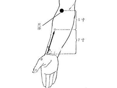 尺泽穴 消肿的穴位