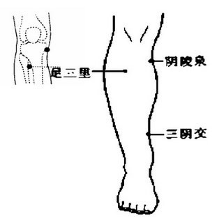 足三里穴 www.zgmjyxw.com