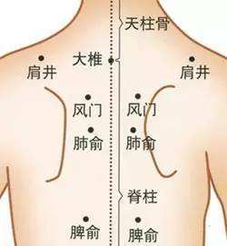 肩胛骨周围穴位 www.zgmjyxw.com