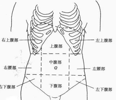 脏腑点穴法成人三十式套路点穴法