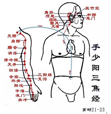 打通“三焦经”，女性内分泌不再失调