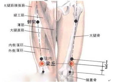 膝盖骨不同年龄段的保养