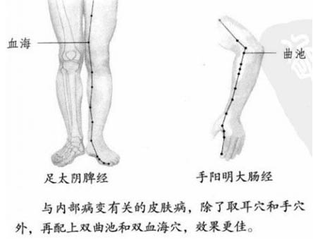 皮肤病，按压穴位见效快！