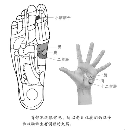 刮中指反射区能平衡血压