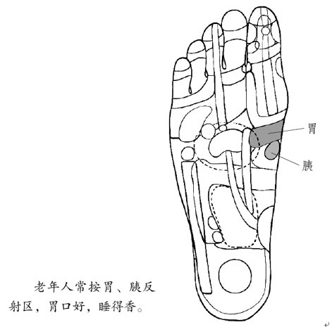 中医自然疗法——按摩身体反射区