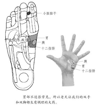 中医自然疗法——按摩身体反射区