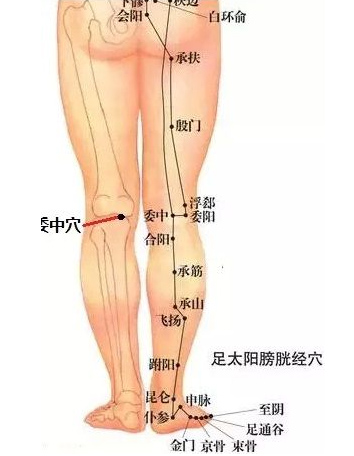 委中穴——治腰腿疼