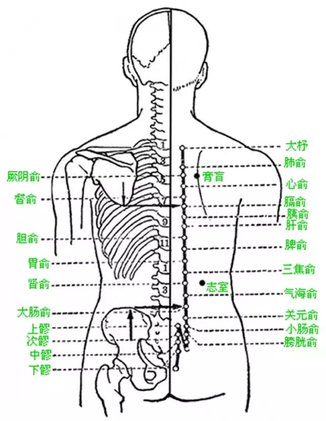 人体《精、气、神》的开关——特效穴，开九窍