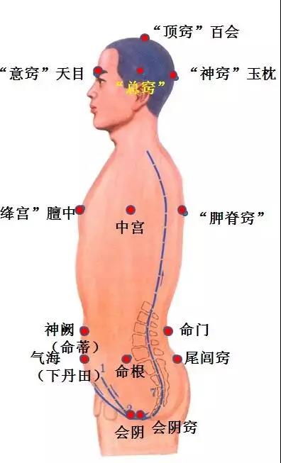 人体《精、气、神》的开关——特效穴，开九窍