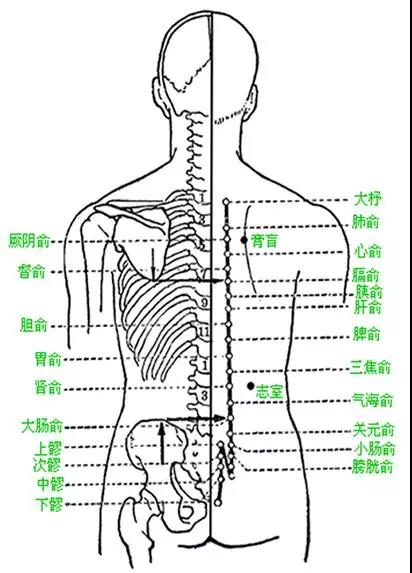 十种慢性病的中医按摩手法