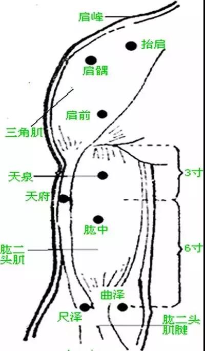 十种慢性病的中医按摩手法