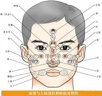 面诊、眼诊、鼻诊、耳诊、唇诊、舌诊、齿诊的治疗方法