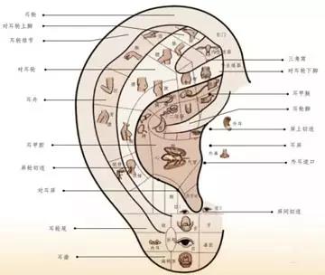 面诊、眼诊、鼻诊、耳诊、唇诊、舌诊、齿诊的治疗方法