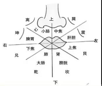 面诊、眼诊、鼻诊、耳诊、唇诊、舌诊、齿诊的治疗方法