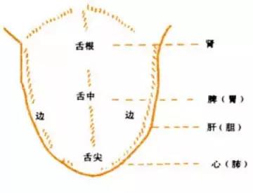 面诊、眼诊、鼻诊、耳诊、唇诊、舌诊、齿诊的治疗方法