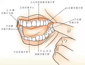 面诊、眼诊、鼻诊、耳诊、唇诊、舌诊、齿诊的治疗方法