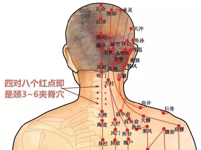 化解小肠“寒气”——能有效解决颈肩疼痛