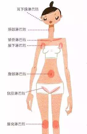 淋巴上长小楸楸该怎么办？